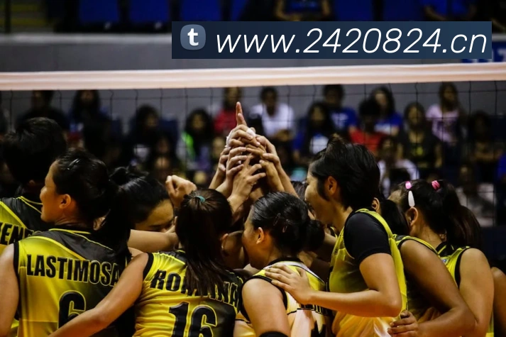 易倍emc网页登录平台生态图